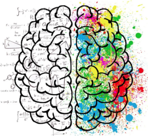 creativity image of brain with multi colors