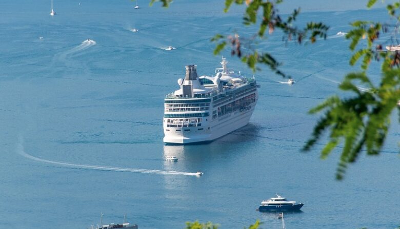 a view of a white cruise ship in the ocean from atop a hill.