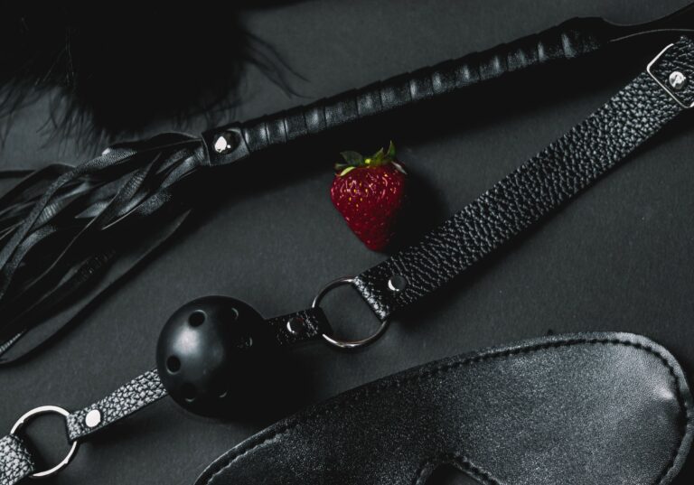 Fetish equipment for adlt playrooms such as leather whips and other wrotic toys